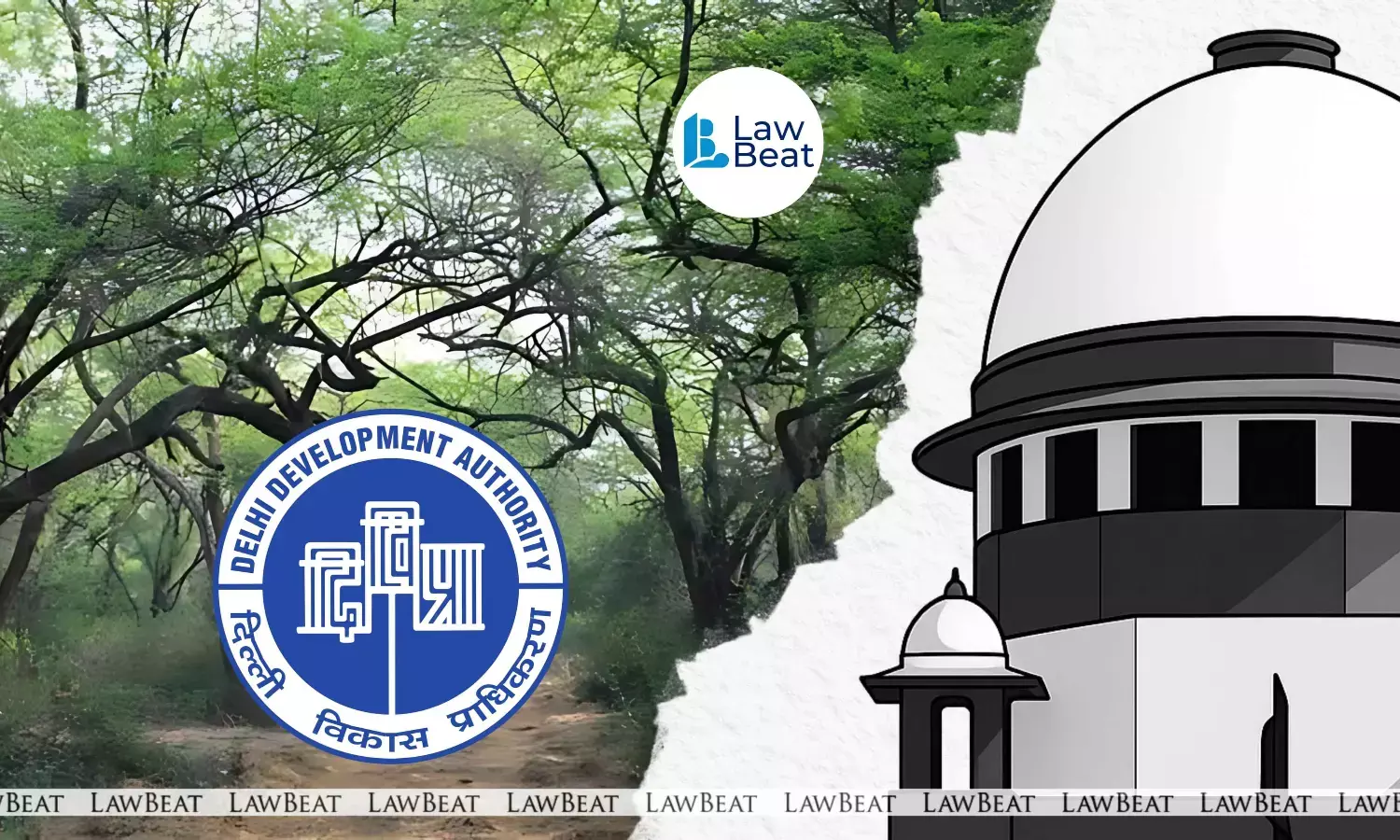 Planting of trees will bring down AQI: Supreme Court on Delhi Ridge issue Planting of trees will bring down AQI: Supreme Court on Delhi Ridge issue