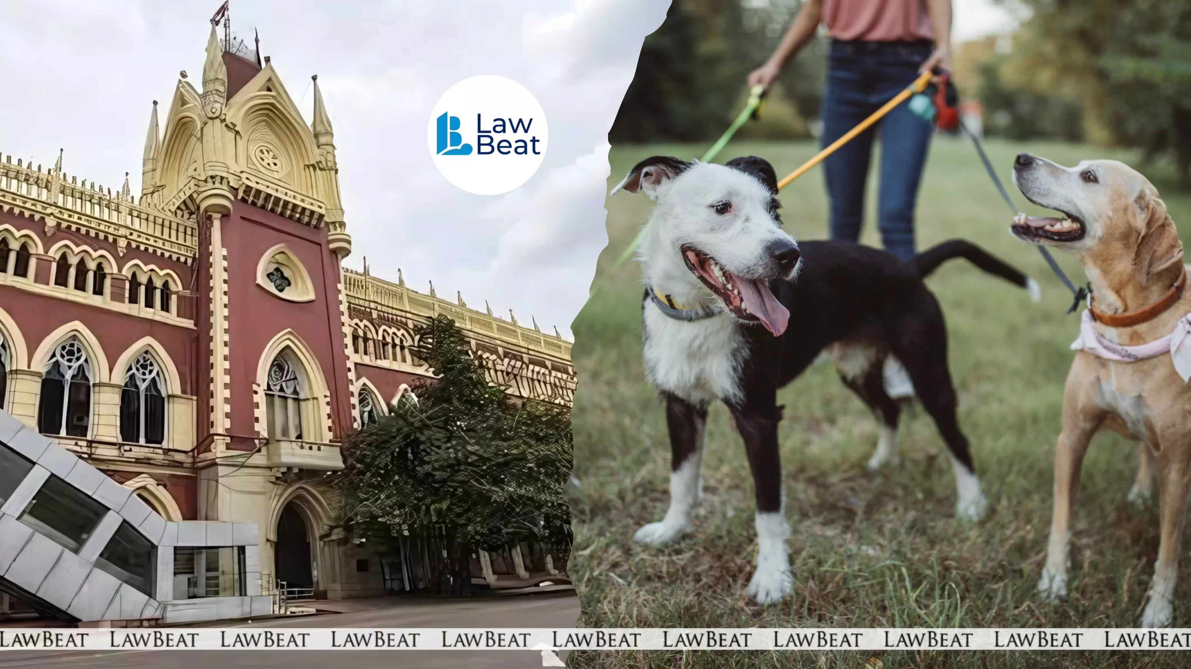 Pet Owners Duty-Bound To Prevent Pet From Causing Harm: Calcutta High Court Pet Owners Duty-Bound To Prevent Pet From Causing Harm: Calcutta High Court