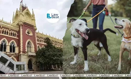Pet Owners Duty-Bound To Prevent Pet From Causing Harm: Calcutta High Court Pet Owners Duty-Bound To Prevent Pet From Causing Harm: Calcutta High Court