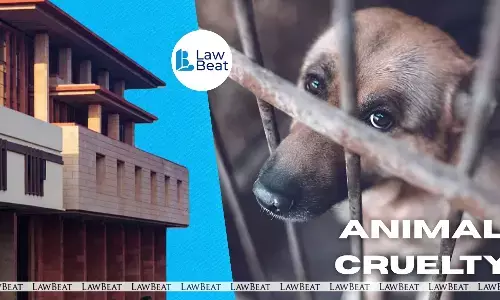 Delhi HC to Hear Plea on Sexual Violence Against Animals on July 16 Delhi HC to Hear Plea on Sexual Violence Against Animals on July 16