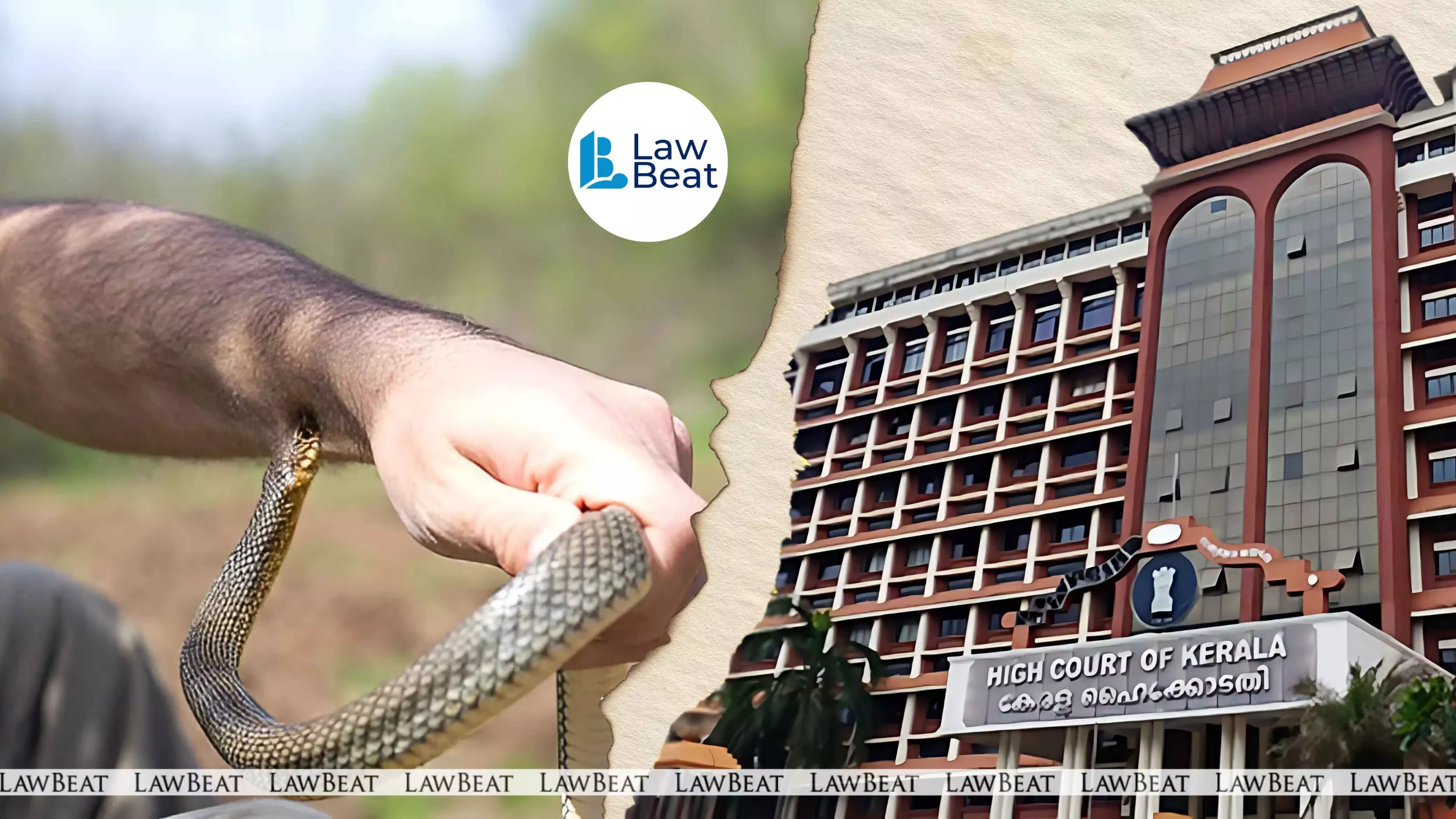 Director of Health Services has proposed notifying snake bite as a notifiable disease, Kerala High Court informed Director of Health Services has proposed notifying snake bite as a notifiable disease, Kerala High Court informed