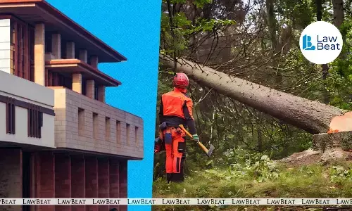 Delhi High Court Issues Comprehensive Directions to Enforce Tree Felling SOP Delhi High Court Issues Comprehensive Directions to Enforce Tree Felling SOP