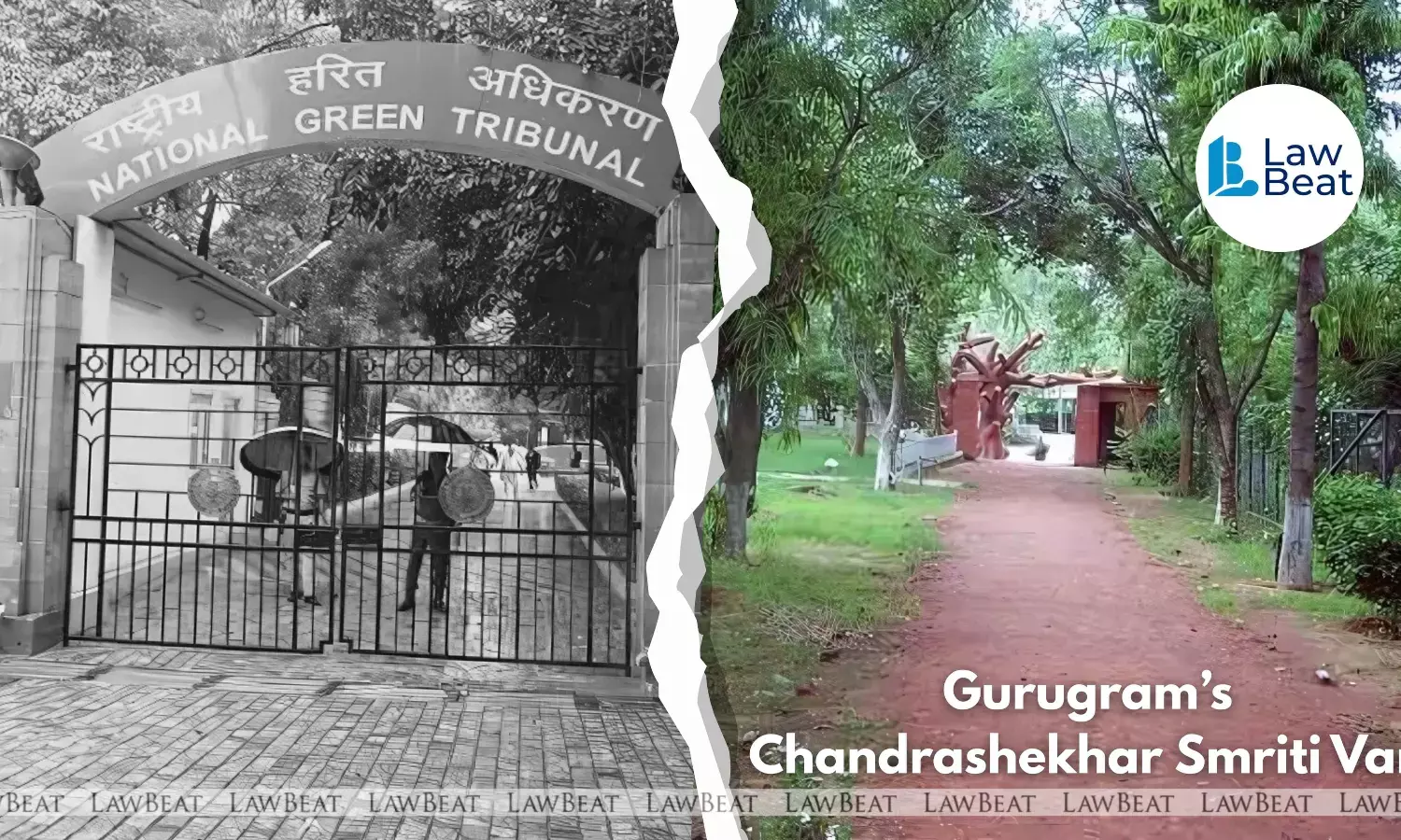 Smriti Van Encroachments: NGT Issues Notice to Centre, Haryana Govt Smriti Van Encroachments: NGT Issues Notice to Centre, Haryana Govt