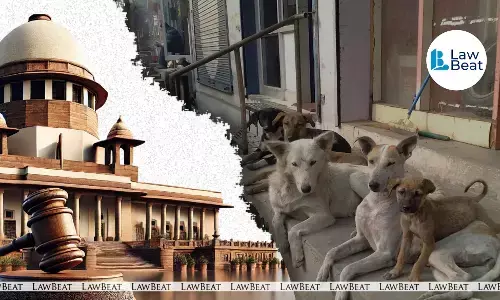 “Why Don’t You Feed Them At Home?”: Supreme Court Questions Noida Resident On Stray Dog Feeding, Flags Safety Concerns “Why Don’t You Feed Them At Home?”: Supreme Court Questions Noida Resident On Stray Dog Feeding, Flags Safety Concerns