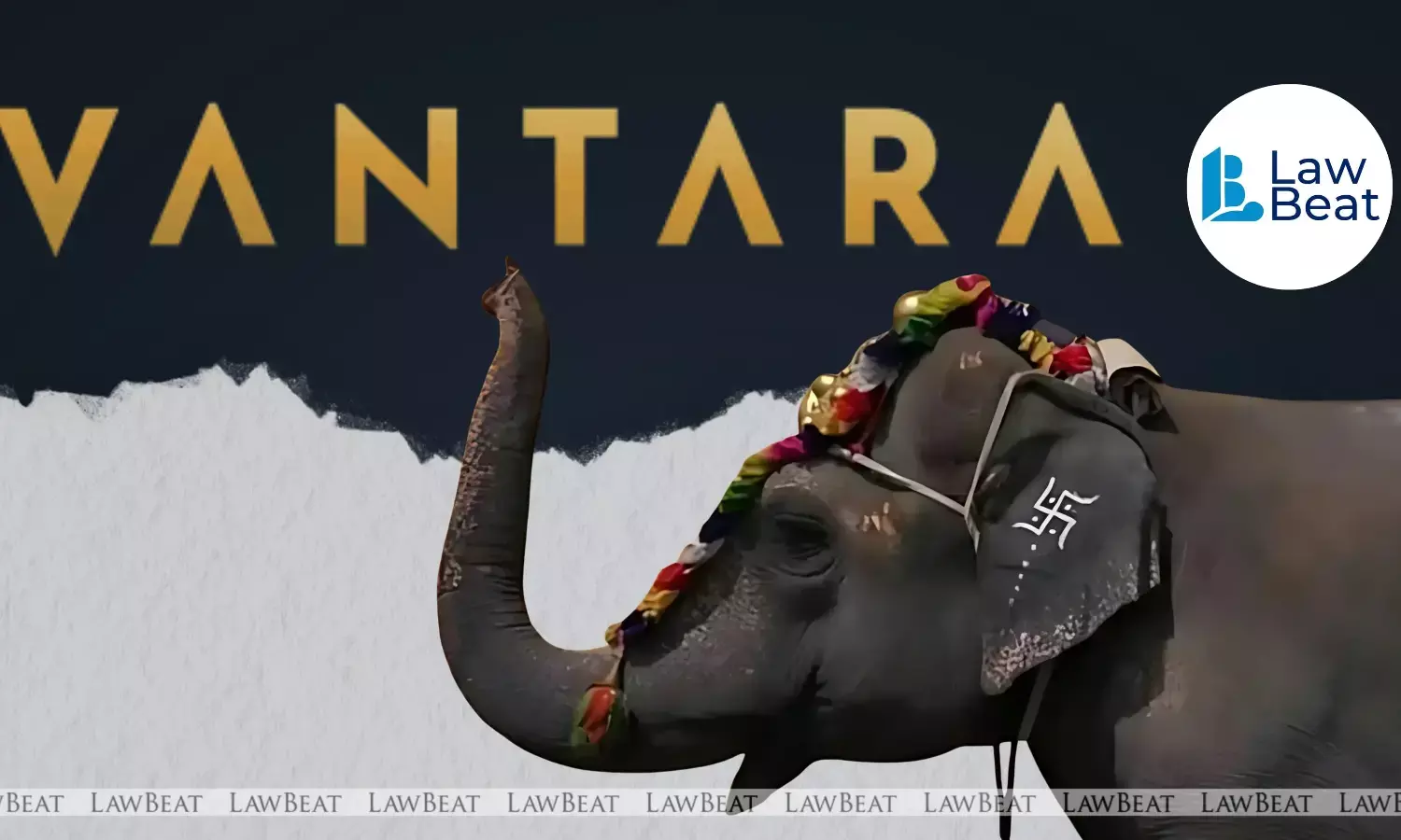 Will fully support Mahadevis return: Vantara says involvement strictly on Courts directions Will fully support Mahadevis return: Vantara says involvement strictly on Courts directions