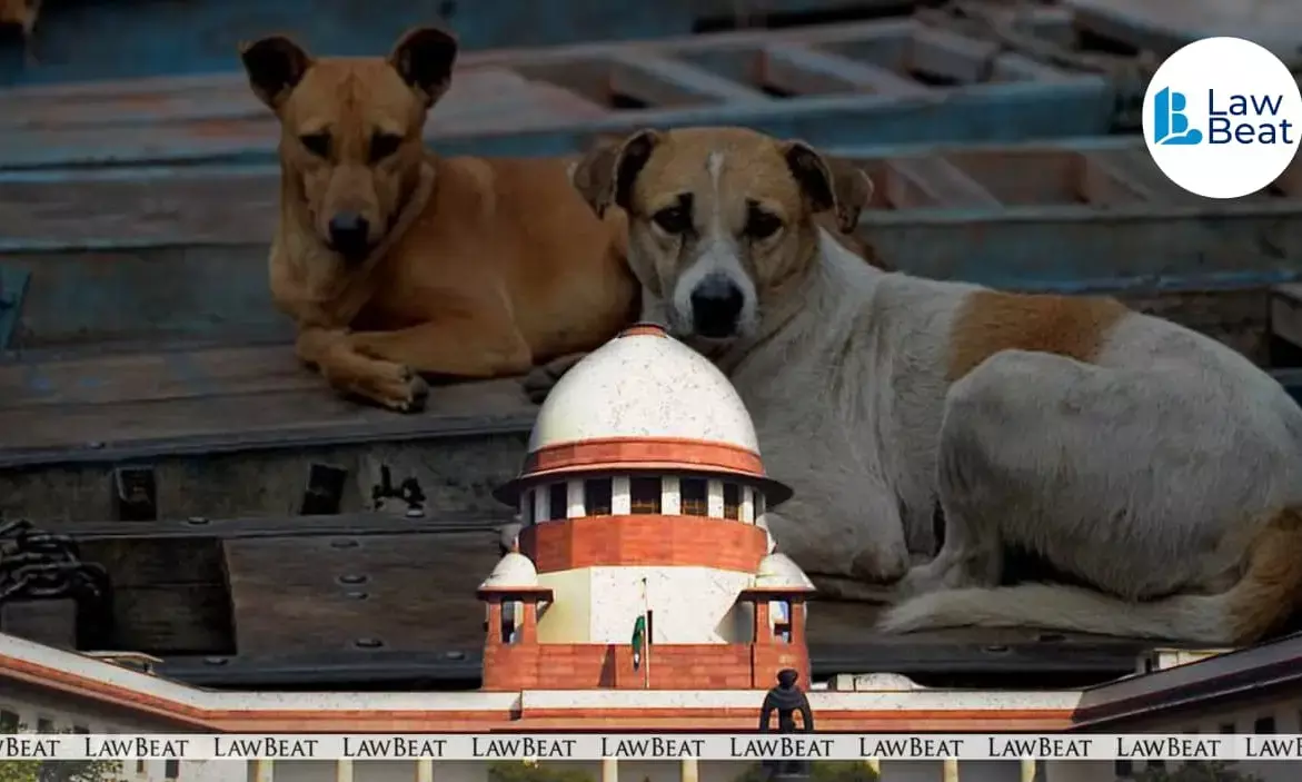 Supreme Court of India bench led by Justices Vikram Nath and Sandeep Mehta hearing Stray Dogs compliance case, refusing virtual appearance plea for Chief Secretaries. Supreme Court of India bench led by Justices Vikram Nath and Sandeep Mehta hearing Stray Dogs compliance case, refusing virtual appearance plea for Chief Secretaries.