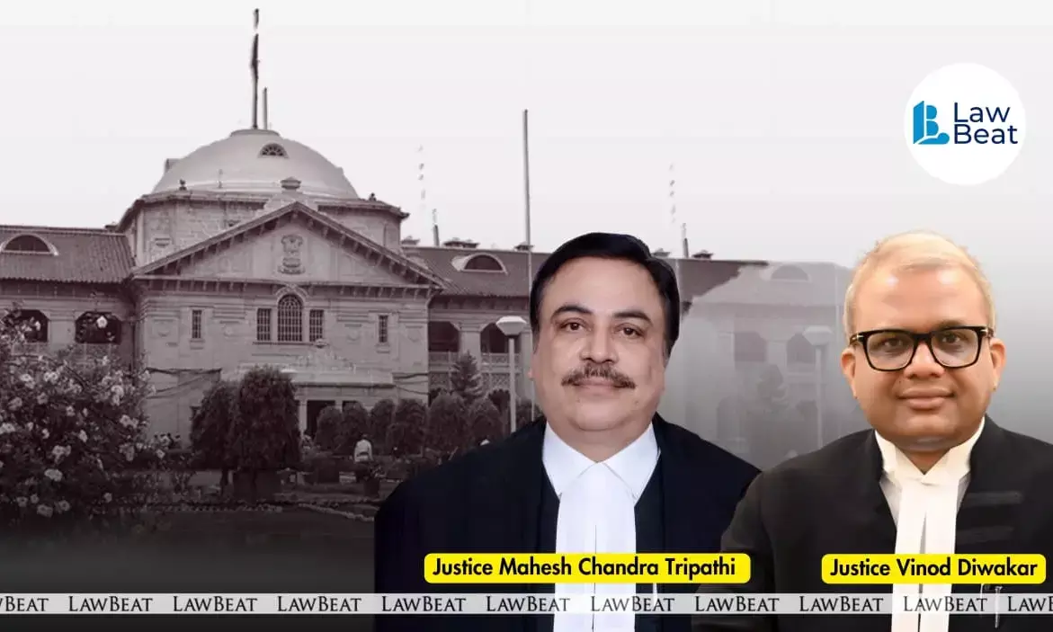 Allahabad HC Upholds NOIDA’s Termination of Cricket Stadium Contract Over Poor Maintenance Allahabad HC Upholds NOIDA’s Termination of Cricket Stadium Contract Over Poor Maintenance