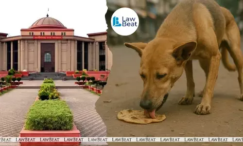 Chhattisgarh High Court orders Rs 25,000 per child after dog soils mid-day meal Chhattisgarh High Court orders Rs 25,000 per child after dog soils mid-day meal