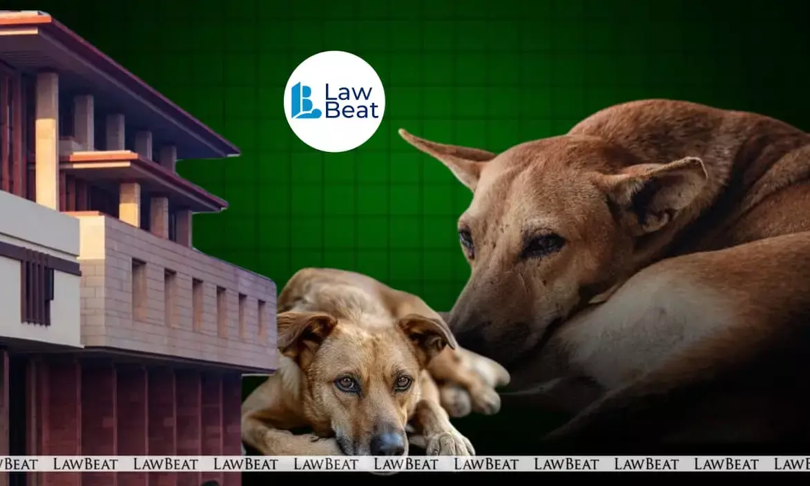 Delhi HC Quashes FIRs in Neighbourhood Scuffle Sparked by Pet Dogs Delhi HC Quashes FIRs in Neighbourhood Scuffle Sparked by Pet Dogs