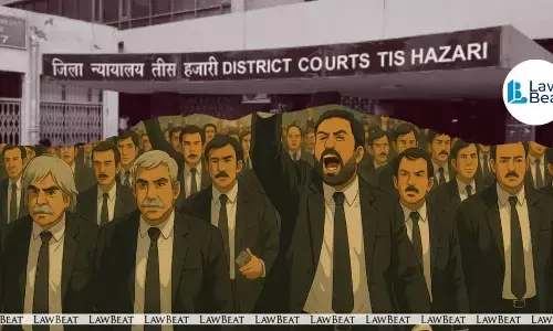 Delhi Lawyers Halt Work Over LG’s Notification Allowing Police to Depose From Stations