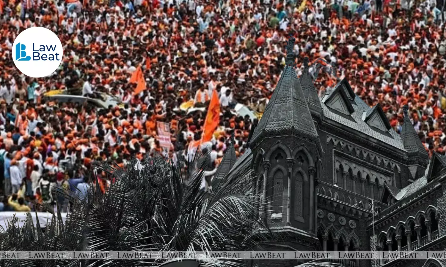 Bombay High Court Orders Complete Street Clearance in Mumbai by September 2 Bombay High Court Orders Complete Street Clearance in Mumbai by September 2