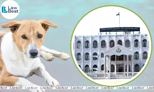 Meghalaya HC: Capture, Vaccinate and Observe Stray Dogs Before Release Meghalaya HC: Capture, Vaccinate and Observe Stray Dogs Before Release