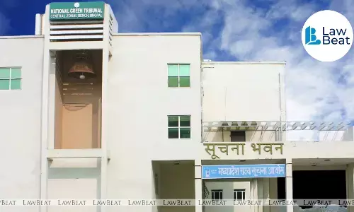 NGT Bhopal Questions Legality of Tree Felling for Kolar and Bangrasia Roads NGT Bhopal Questions Legality of Tree Felling for Kolar and Bangrasia Roads