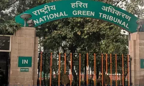 Greater Noida Sewage Discharge: NGT Grants Time for Applicant’s Response to GNIDA Report Greater Noida Sewage Discharge: NGT Grants Time for Applicant’s Response to GNIDA Report