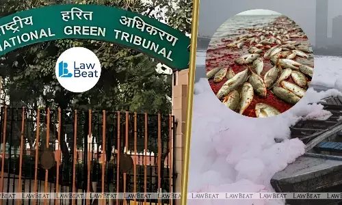 Thousands of Dead Fish in Yamuna Spark NGT Action; CPCB Asked to Coordinate States Thousands of Dead Fish in Yamuna Spark NGT Action; CPCB Asked to Coordinate States