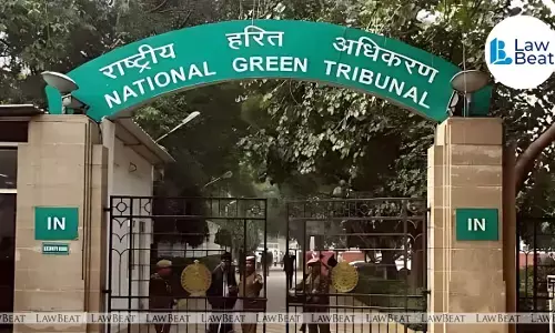 Plea Before NGT Challenges Haryana’s Narrowed Definition of ‘Forest’ Plea Before NGT Challenges Haryana’s Narrowed Definition of ‘Forest’