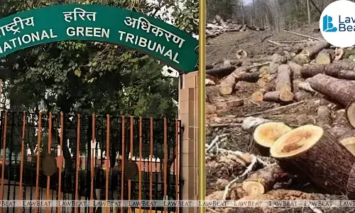 NGT Directs Action Over Illegal Tree Felling in Delhi’s Civil Lines Area