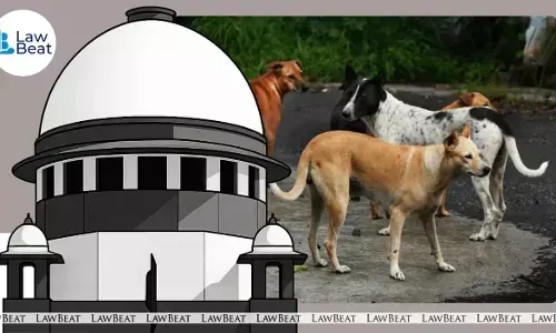 Supreme Court hearing stray dogs case as judges question claims of inhuman treatment and discuss relocation of canines in Delhi.