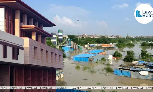 No Houses Or Habitation On Yamuna Floodplains Under Graveyard Pretext, Says Delhi HC