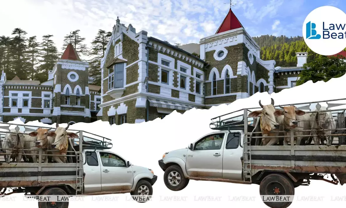 Uttarakhand High Court grants bail to man accused in Haridwar cow slaughter case.