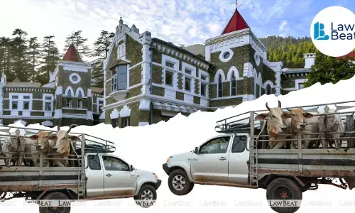 Uttarakhand High Court grants bail to man accused in Haridwar cow slaughter case. Uttarakhand High Court grants bail to man accused in Haridwar cow slaughter case.