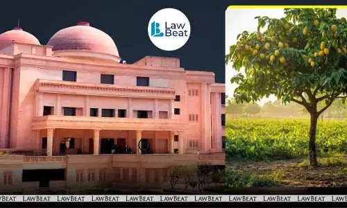 Allahabad High Court summons UP officials over tree protection and geo-tagging delay.