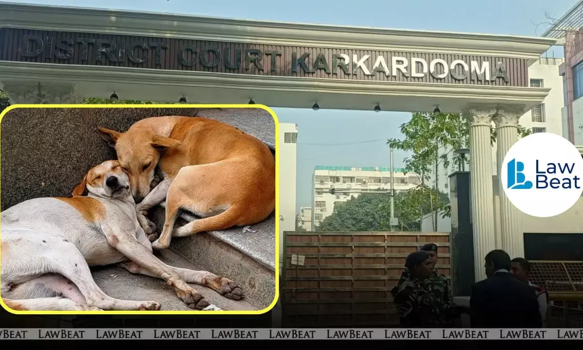 Karkardooma Courts in Delhi where the court criticised an animal shelter for failing to comply with orders on handover of seized dogs
