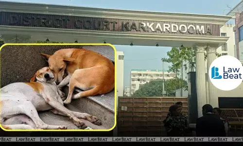 Karkardooma Courts in Delhi where the court criticised an animal shelter for failing to comply with orders on handover of seized dogs