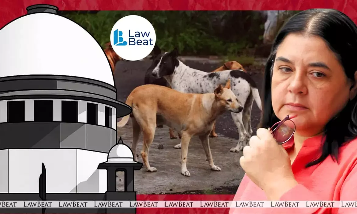 Supreme Court judges Vikram Nath, Sandeep Mehta and N V Anjaria hearing stray dog case and criticising Maneka Gandhi’s remarks.