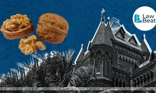 Bombay High Court ruling on customs detention and provisional release of imported goods.