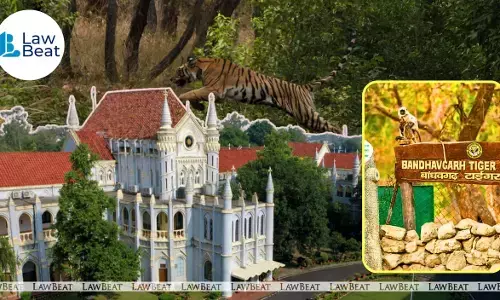 Madhya Pradesh High Court with Bandhavgarh Tiger Reserve signage and tiger image in case concerning unnatural tiger deaths and status report sought.