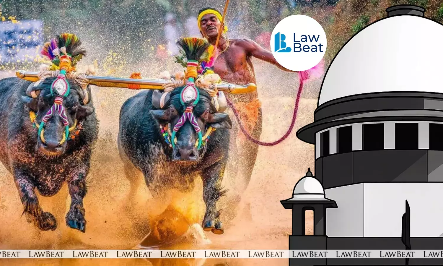 Supreme Court of India hearing and dismissing PETA’s plea challenging the conduct of the Kambala buffalo race in Bengaluru.