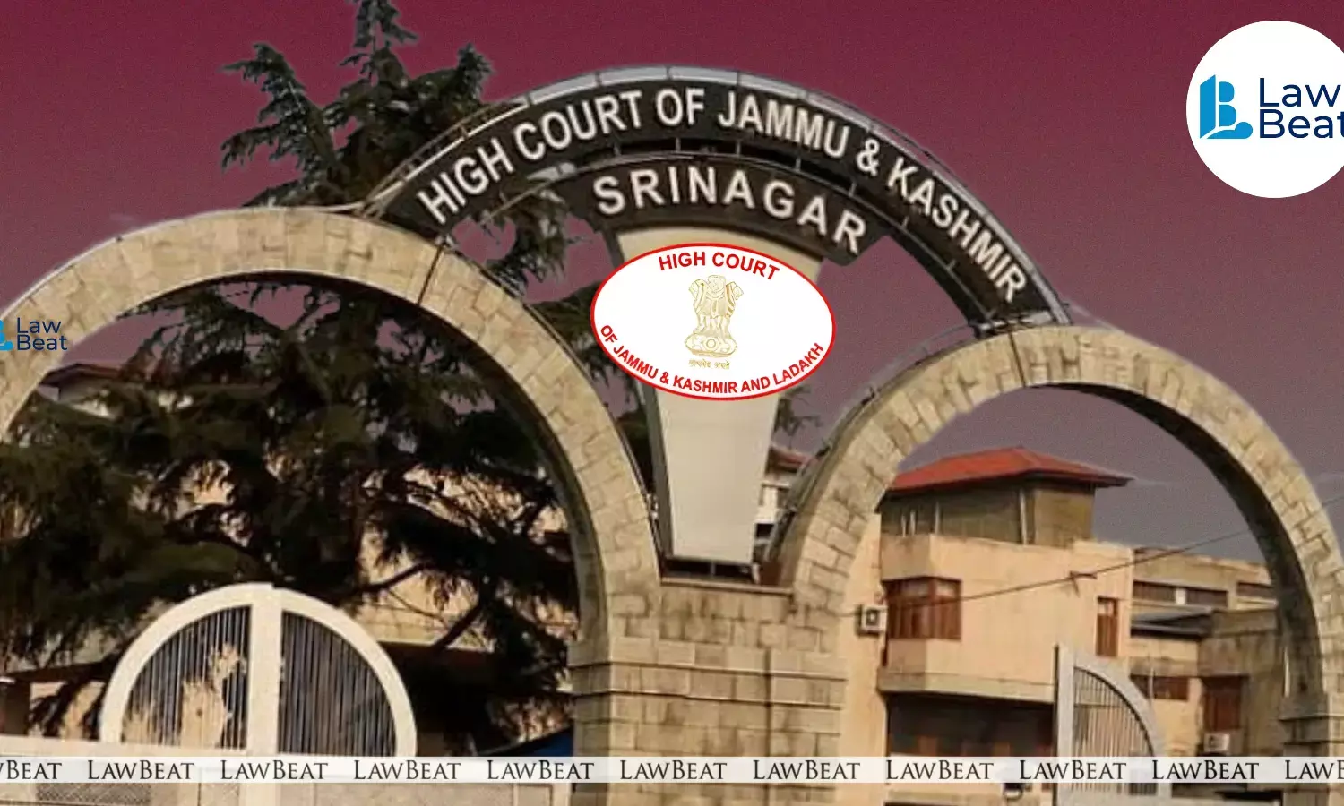 High Court of Jammu and Kashmir and Ladakh judgment on preventive detention under Public Safety Act
