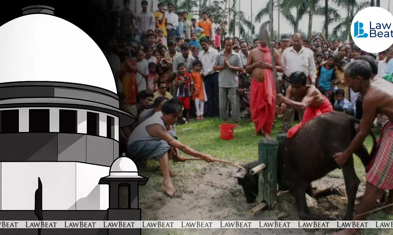 Supreme Court of India building where a bench issued notice on a PIL seeking a ban on animal sacrifice in the name of religion.