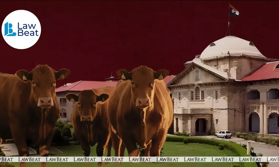 Allahabad High Court holds cow slaughter can threaten public order under NSA detention law Allahabad High Court holds cow slaughter can threaten public order under NSA detention law
