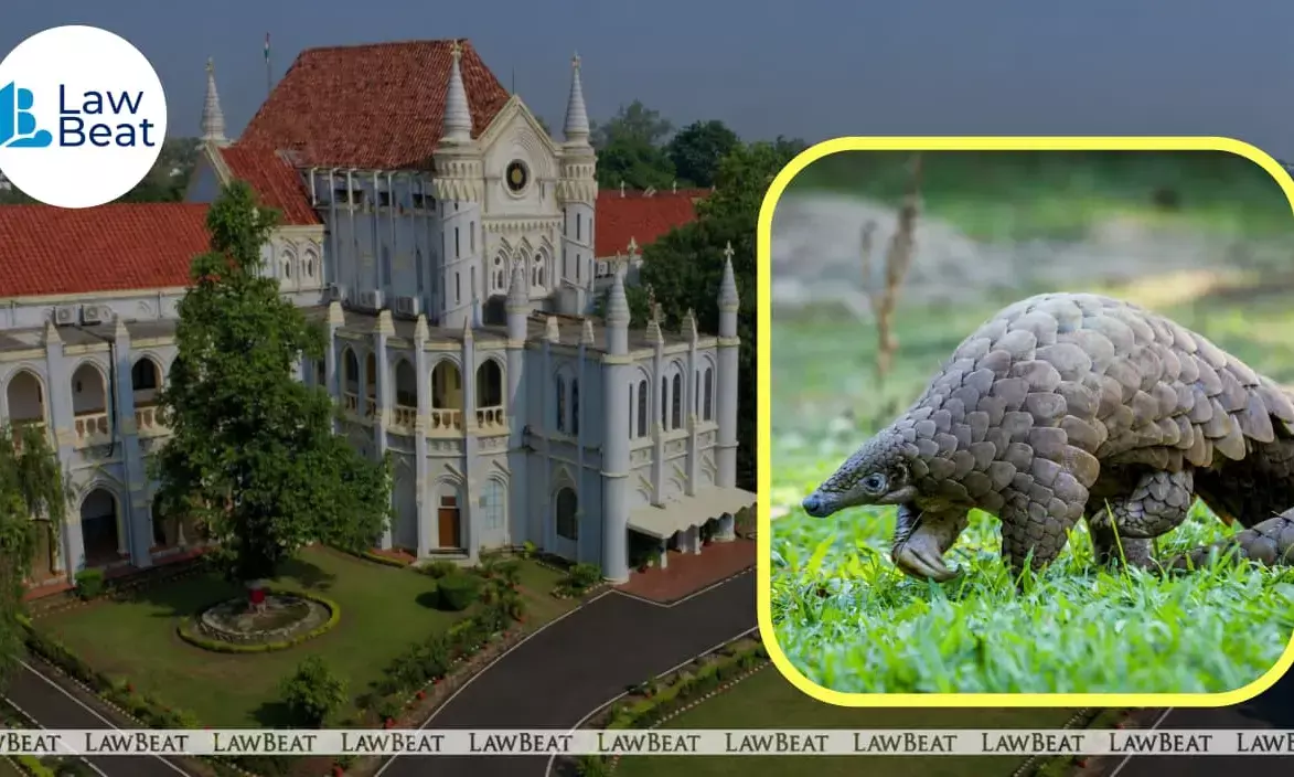 Bail Refused To Accused In International Wildlife Poaching Case By Madhya Pradesh High Court