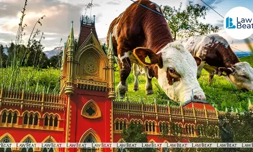 Composite image showing the Calcutta High Court and cattle, representing the High Courts decision on West Bengals Bakrid-related slaughter notification.