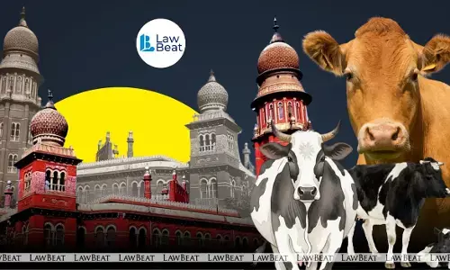 Madras High Court order on prevention of cow slaughter ahead of Bakrid in Tamil Nadu