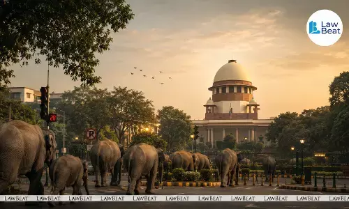 Supreme Court orders Kerala government to take temporary custody of elephant Raman in a contempt case concerning his welfare and alleged commercial exploitation.