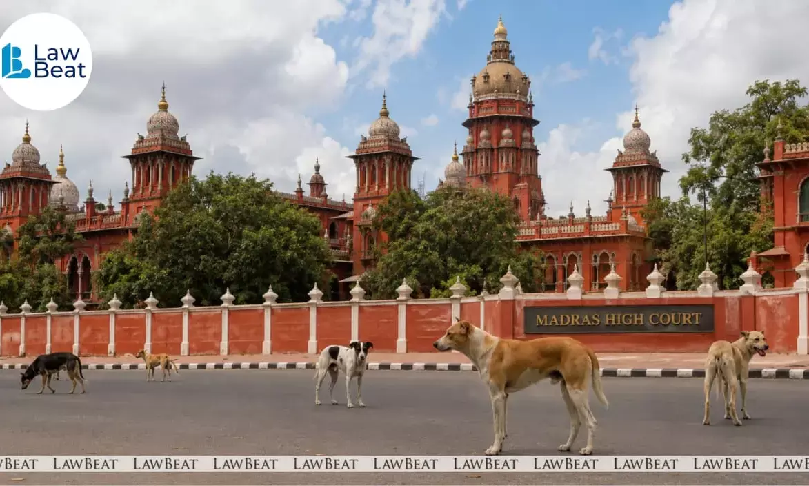 Madras High Court hearing proceedings on implementation of stray dog control measures in public institutions. Madras High Court hearing proceedings on implementation of stray dog control measures in public institutions.
