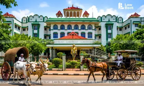 Madras HC Says Race Permissions Must Be Rejected if Bullock, Horse Cart Events Threaten Public Safety