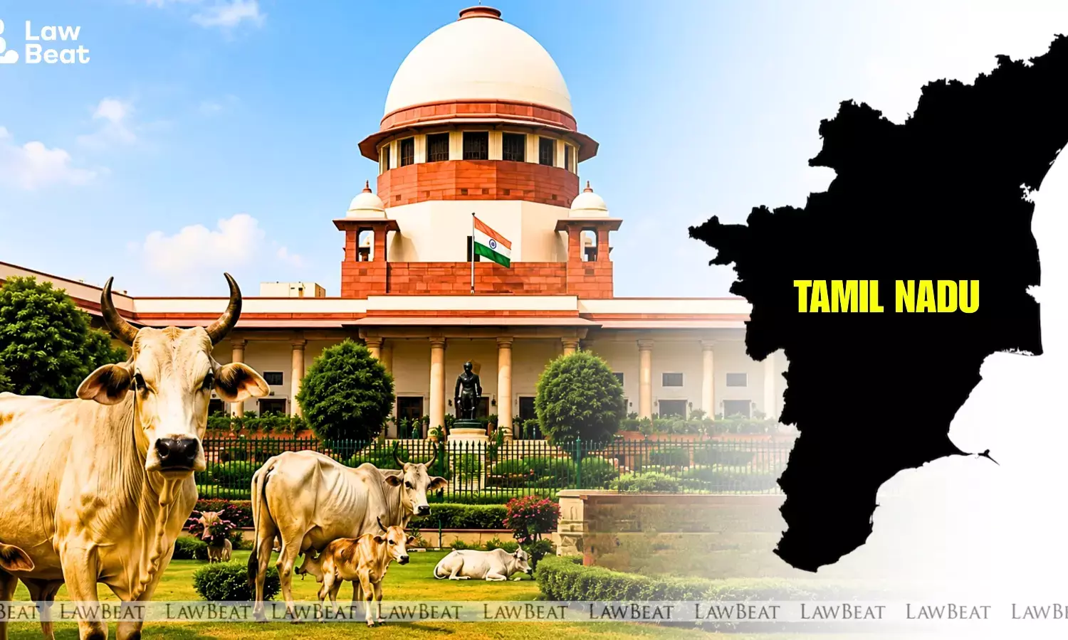 The Supreme Court of India stayed the Madras High Courts order directing the Tamil Nadu government to ensure that no cow or calf was slaughtered in the State, including on the eve of Bakrid. The Supreme Court of India stayed the Madras High Courts order directing the Tamil Nadu government to ensure that no cow or calf was slaughtered in the State, including on the eve of Bakrid.