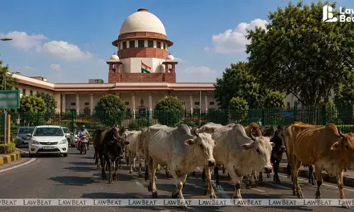 Supreme Court directs mechanism for compensation in cattle-related accidents involving pedestrians and motorists.