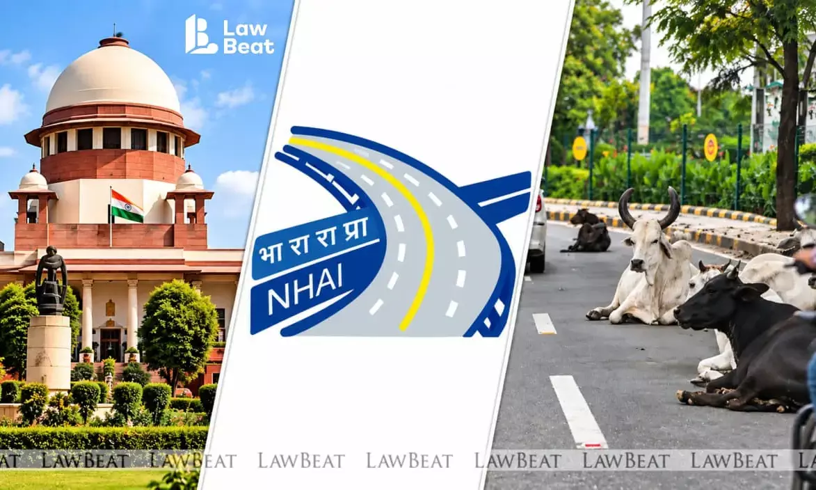 NHAI moves supreme court against direction to construct shelter homes for cattle, says it would entail an expenditure of ₹7,000 crore NHAI moves supreme court against direction to construct shelter homes for cattle, says it would entail an expenditure of ₹7,000 crore