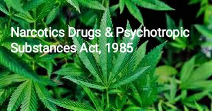 Recovery of drugs and Bail: Case where Allahabad HC grants bail to a man accused of possessing 95 gram of drugs and few more