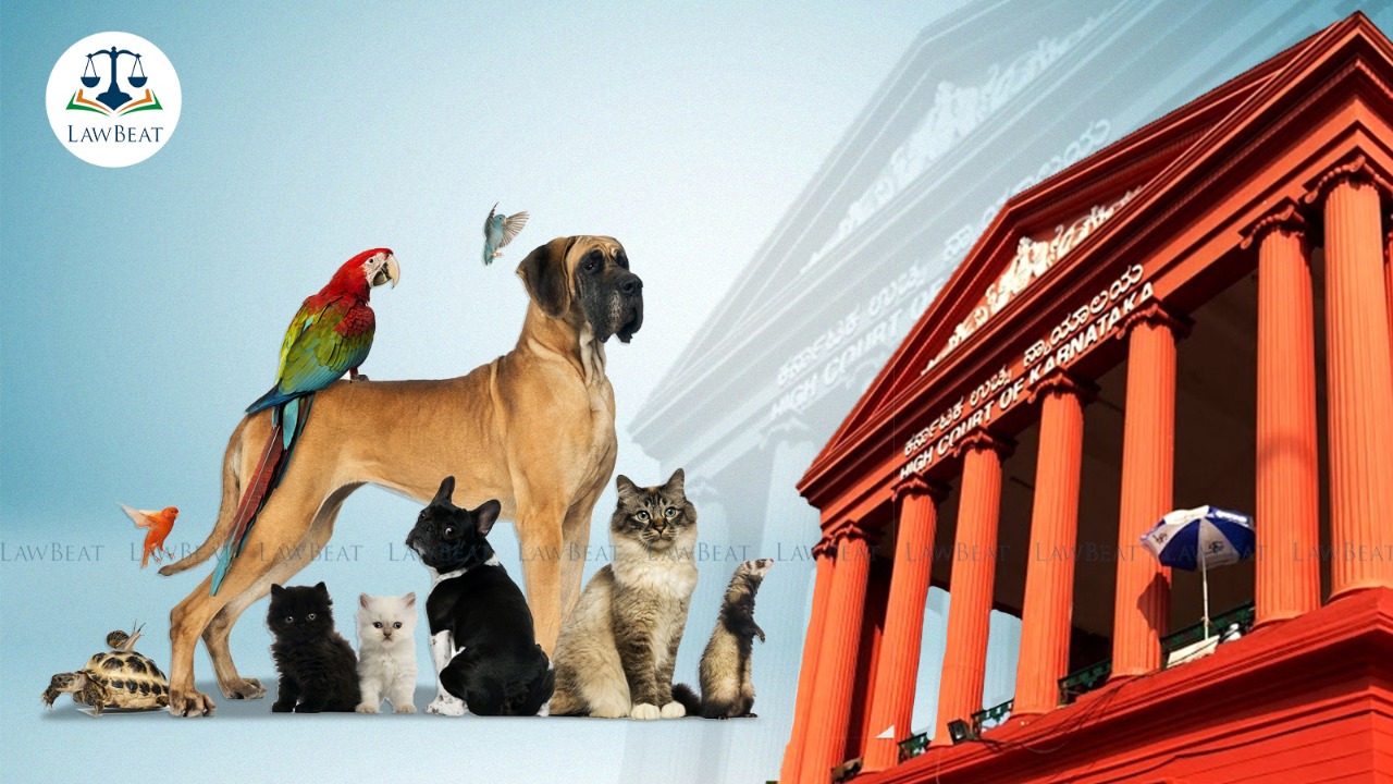 “So many dogs! It will affect morning walkers!”: Karnataka High Court asks for plan on Stray/pet animals in Bengaluru’s Cubbon park “So many dogs! It will affect morning walkers!”: Karnataka High Court asks for plan on Stray/pet animals in Bengaluru’s Cubbon park