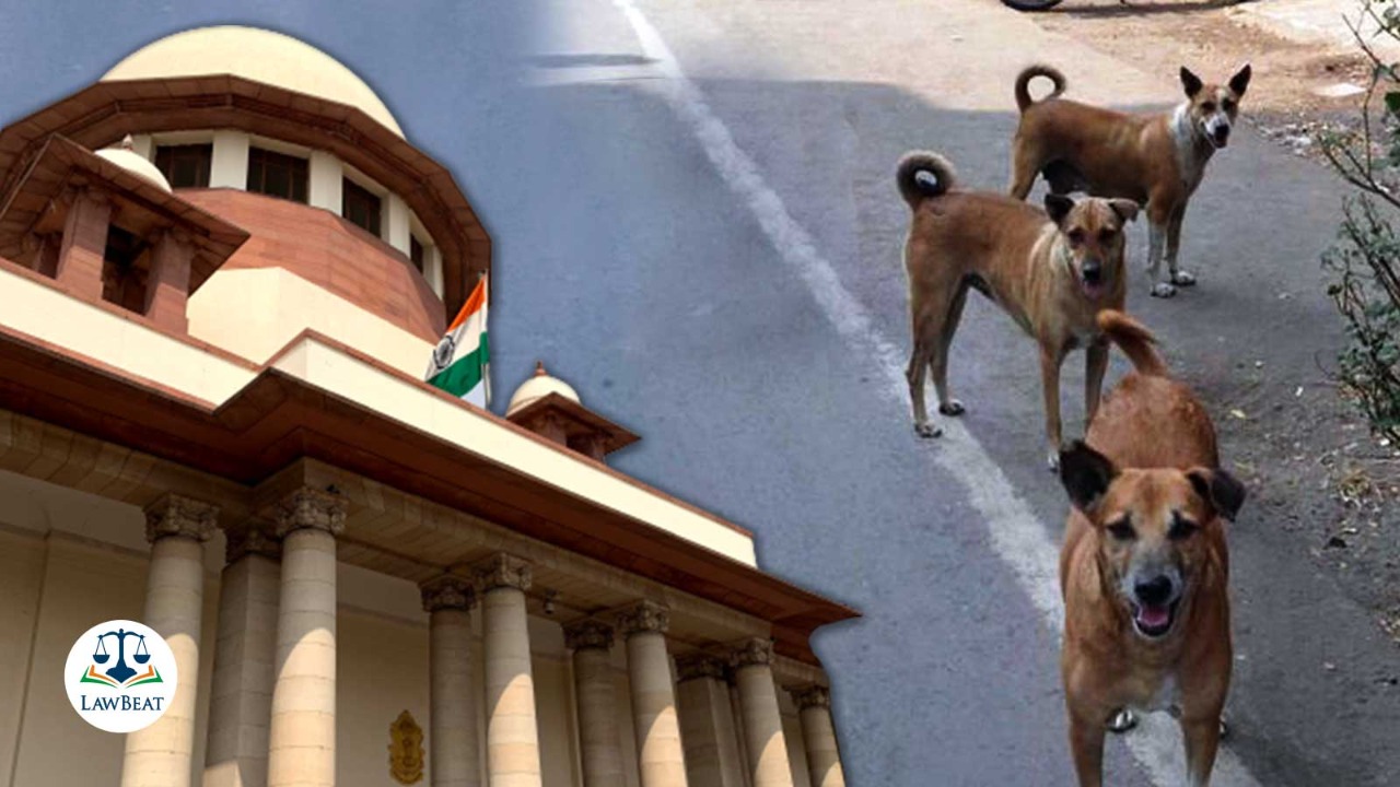 LawBeat | Kerala Govt approaches Top Court seeking permission for  euthanasia or culling of violent, vicious stray dogs