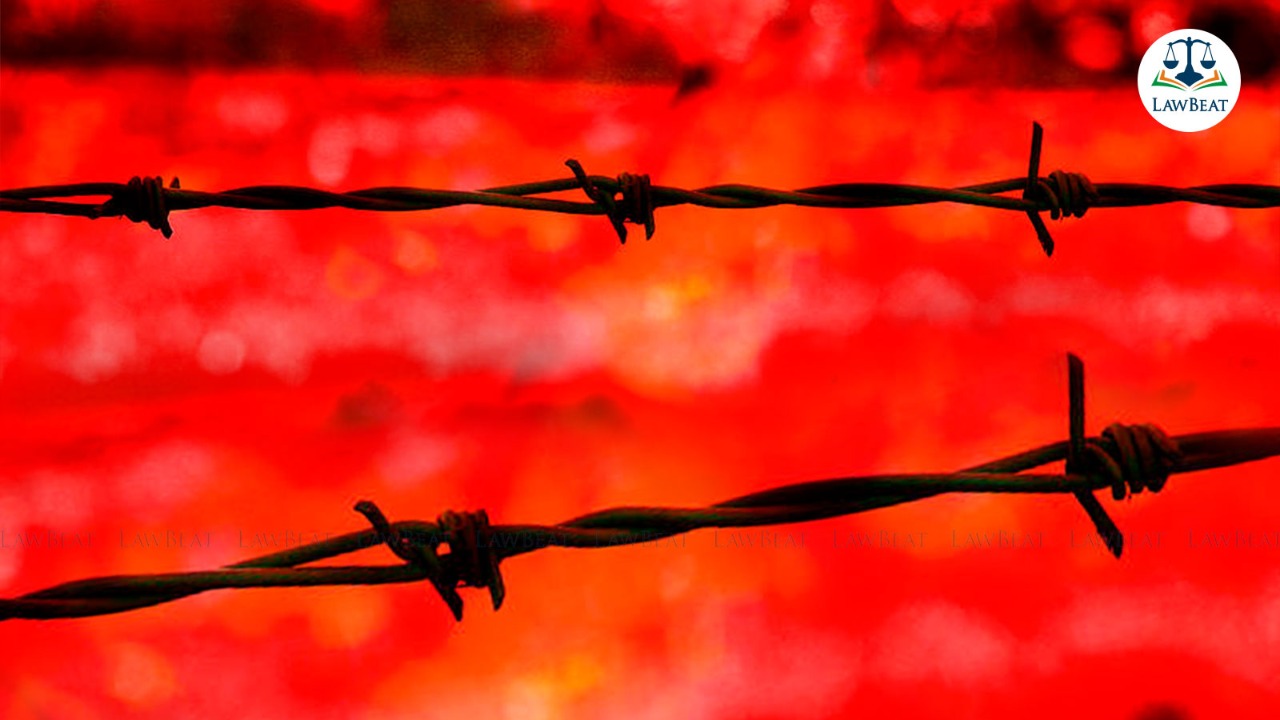 Column| Barb ‘The Wire’ Column| Barb ‘The Wire’