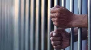Failure to surrender on completion of parole is escape from lawful custody of state: Rajasthan High Court Holds